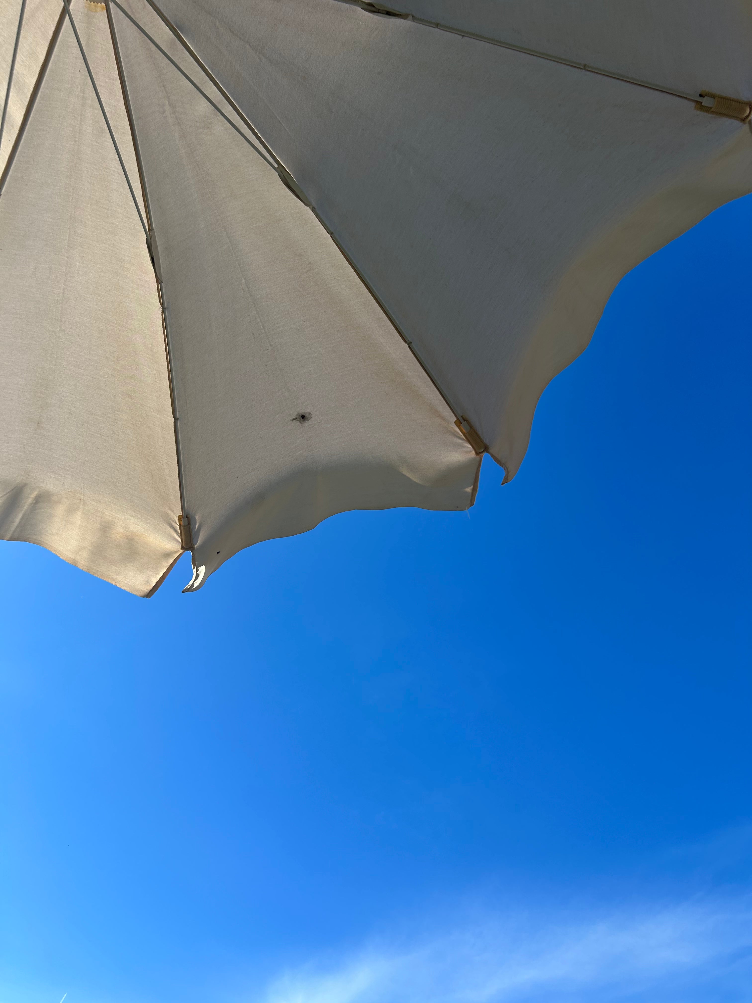 IMG_4704_2c2c1bc0-cd9f-4071-92c3-f95e8b0a1e1e.heic